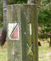 Orienteering control post at Dunnet Forest